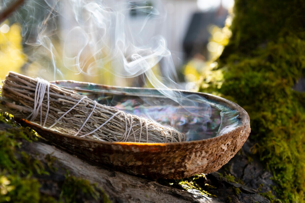 Sage: Everything You Need to Know - The Inspo Spot